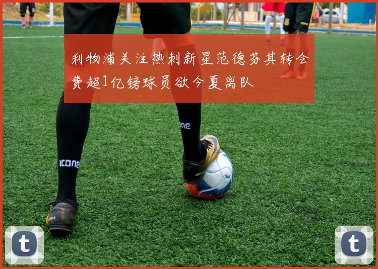 利物浦关注热刺新星范德芬其转会费超1亿镑球员欲今夏离队
