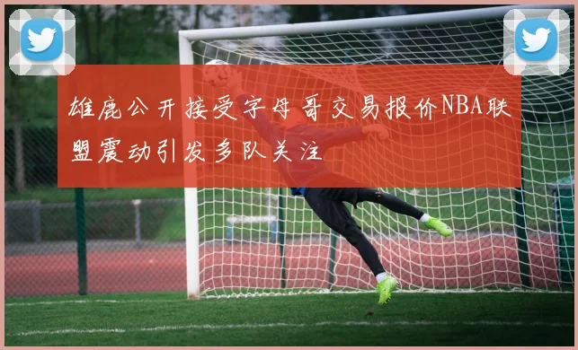 雄鹿公开接受字母哥交易报价NBA联盟震动引发多队关注